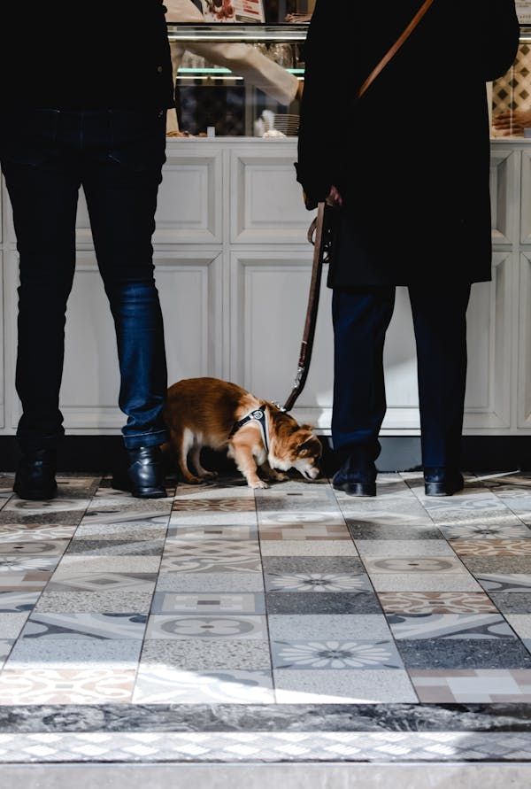 Carrelage italien : styles variés pour sublimer vos espaces